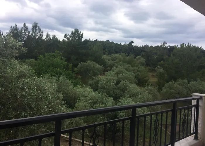 Sofia * Астрис