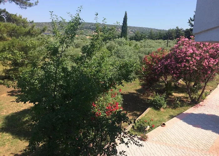 Sofia * Астрис