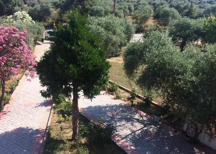 Sofia * Астрис