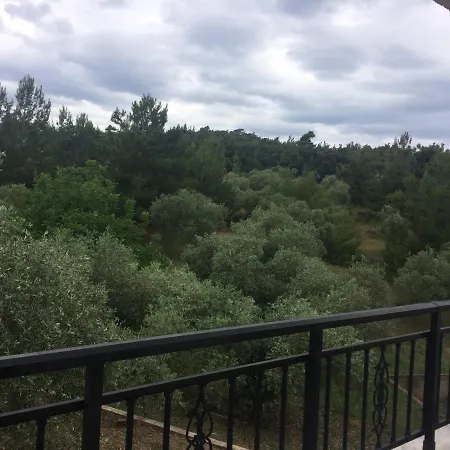 Sofia * Астрис