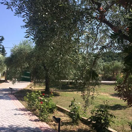 Case de vacanță Sofia *