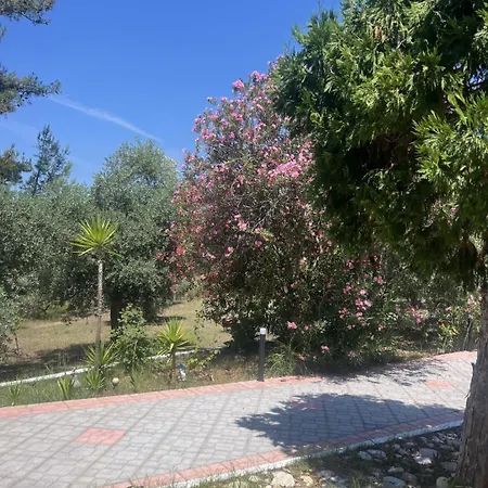 Sofia Case de vacanță